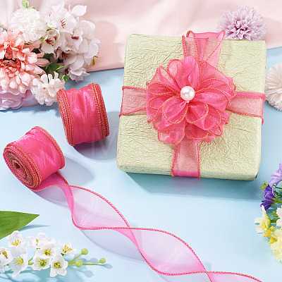 2 Rolls Polyester Mesh Ribbons SRIB-TA0003-42B-1