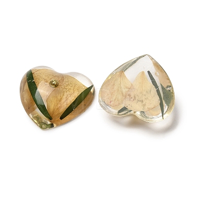 Transparent Resin Cabochons RESI-K033-10-1