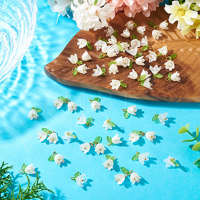 60Pcs 3 Styles ABS Plastic Imitation Pearl & Acrylic Pendants PALLOY-TAC0280-1