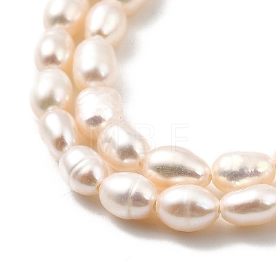 Natural Cultured Freshwater Pearl Beads Strands PEAR-I007-01L-01A-1