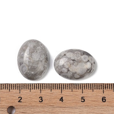 Natural Maifanite Cabochons G-B080-01A-12-1