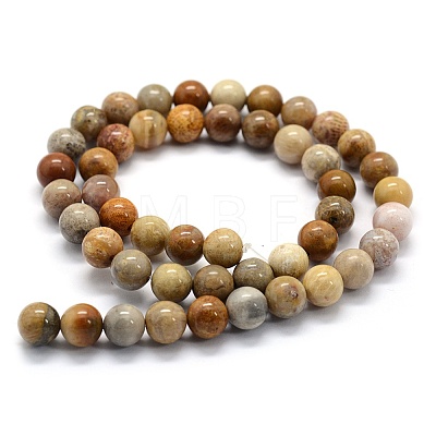 Natural Fossil Coral Beads Strands G-G763-12-12mm-1
