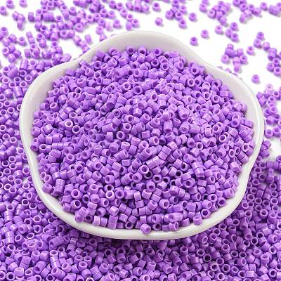 Baking Paint Glass Seed Beads SEED-S042-05A-23-1