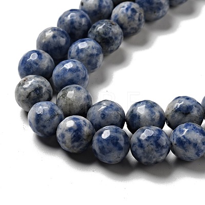 Natural Blue Spot Jasper Beads Strands G-P476-01D-02-1