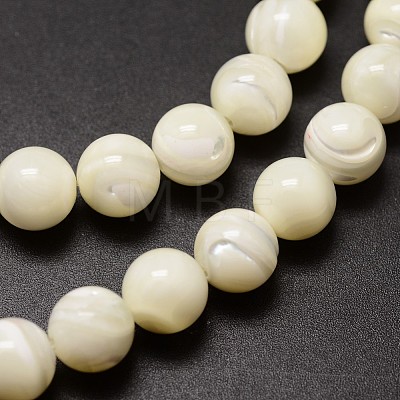 Shell Beads Strands SSHEL-E571-39-6mm-1