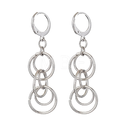 304 Stainless Steel Leverback Earrings for Women EJEW-JE05529-1