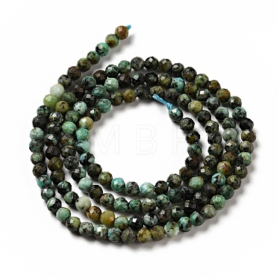 Natural African Turquoise(Jasper) Beads Strands G-P472-01-1