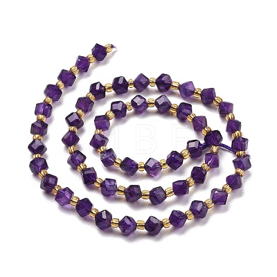 Natural Amethyst Beads Strands G-P463-23-1