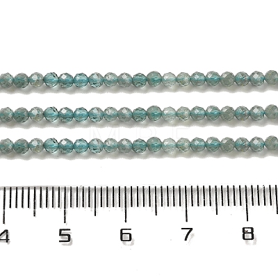 Natural Apatite Beads Strands G-B074-B09-01-1