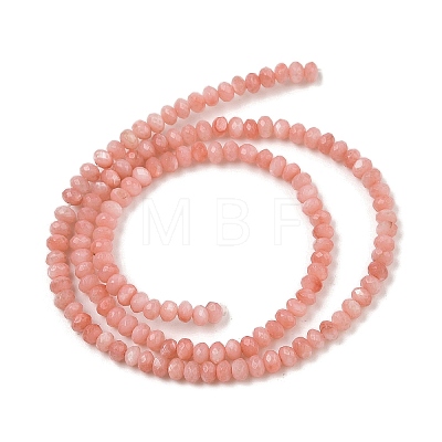 Natural Freshwater Shell Dyed Beads Strands SHEL-R100-13A-03-1