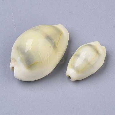 Natural Cowrie Shell Beads SSHEL-N034-B-26-1