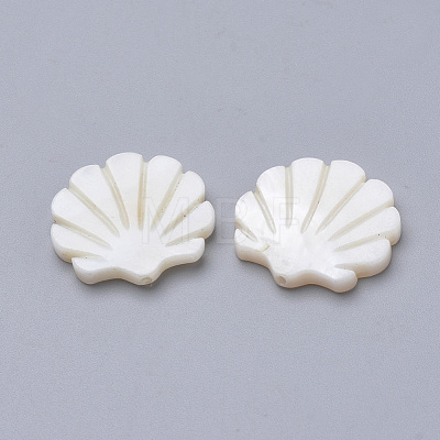 Natural Freshwater Shell Beads X-SHEL-T007-02-1