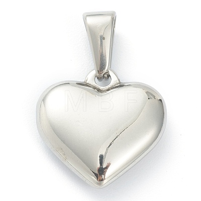 304 Stainless Steel Pendants X-STAS-P278-01C-P-1