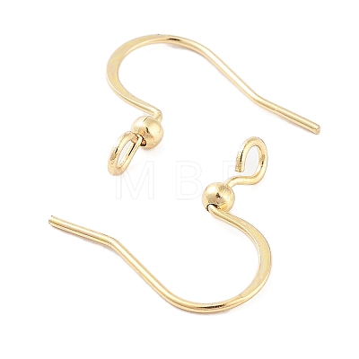 316 Surgical Stainless Steel Earring Hooks X-STAS-K274-10G-1