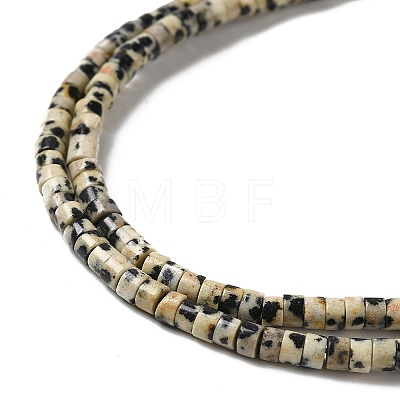 Natural Dalmatian Jasper Beads Strands G-E612-A01-A-1