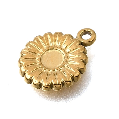 304 Stainless Steel Pendants SA-CBAF4B0-02G-02-1