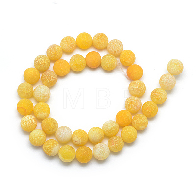 Natural Weathered Agate Bead Strands G-S237-10mm-02-1