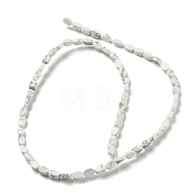 Natural Howlite Beads Strands G-M420-H14-03-1