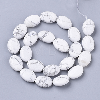 Natural Howlite Beads Strands G-S359-006-1