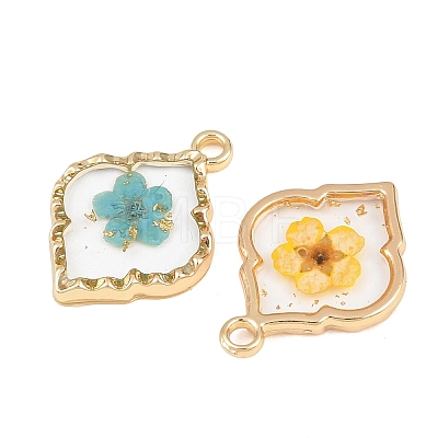 Alloy Epoxy Resin Pendants FIND-Z114-01G-01-1