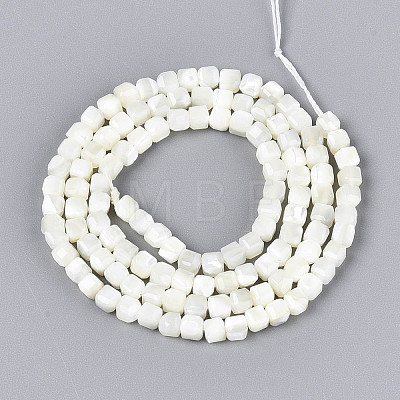Natural Trochid Shell/Trochus Shell Beads Strands SSHEL-N041-04B-01-1