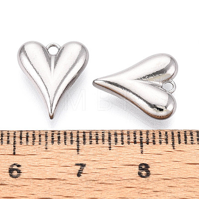 304 Stainless Steel Charms STAS-T065-81P-1