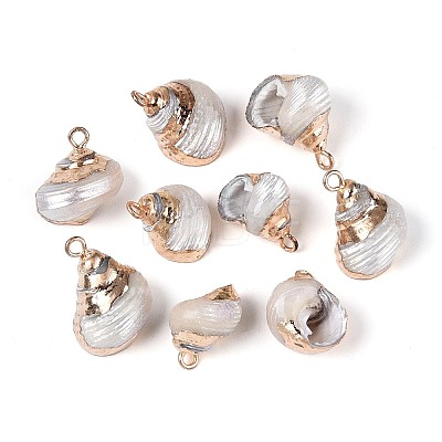 Electroplated Natural Shell Pendants BSHE-T015-12-1