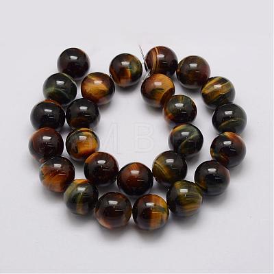 Natural Tiger Eye Bead Strands G-P230-05-10mm-1