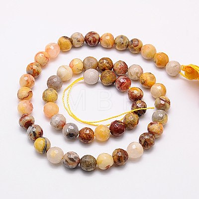 Natural Crazy Lace Agate Beads Strands G-G542-10mm-10-1