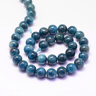 Natural Apatite Beads Strands G-P132-04-10mm-1