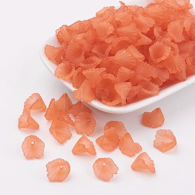 Transparent Acrylic Beads PL622-C12-1