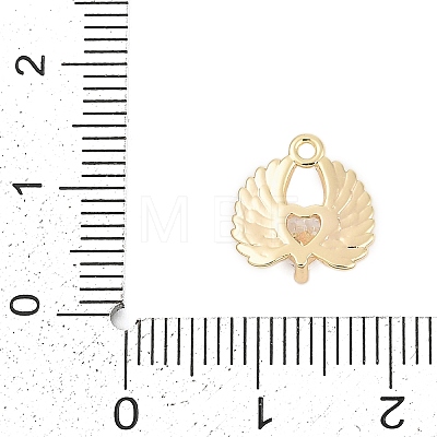 Brass Micro Pave Cubic Zirconia Charms ZIRC-P122-01B-G01-1