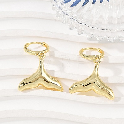 Brass Hoop Earrings EJEW-Q036-03D-G-1