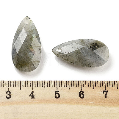 Natural Labradorite Pendants G-H007-08I-1