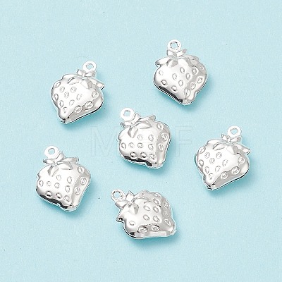 304 Stainless Steel Pendants STAS-G176-21S-1