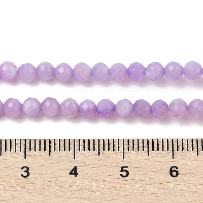 Natural Freshwater Shell Dyed Beads Strands SHEL-R100-12A-01-1