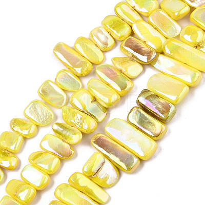 Natural Freshwater Shell Beads Strands X-SHEL-N026-123A-1