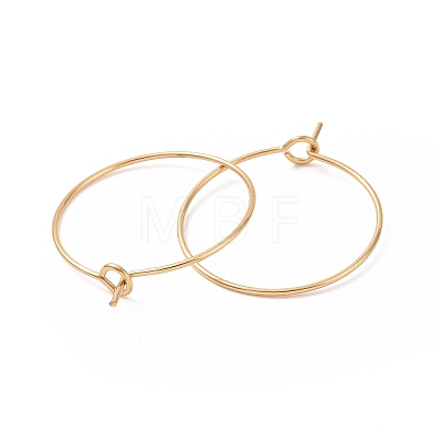 Ion Plating(IP) 316L Surgical Stainless Steel Hoop Earring Findings LS-STAS-D164-04G-1