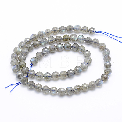 Natural Labradorite Beads Strands G-P336-19-6mm-1