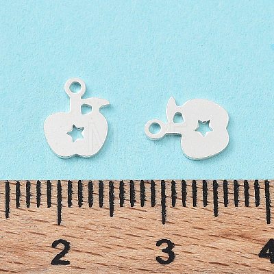 925 Sterling Silver Charms STER-F053-04S-1