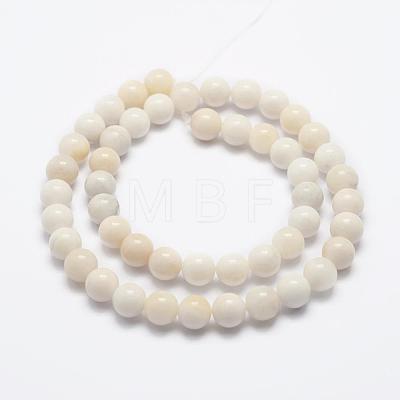 Natural White Jade Bead Strands G-G666-07A-1