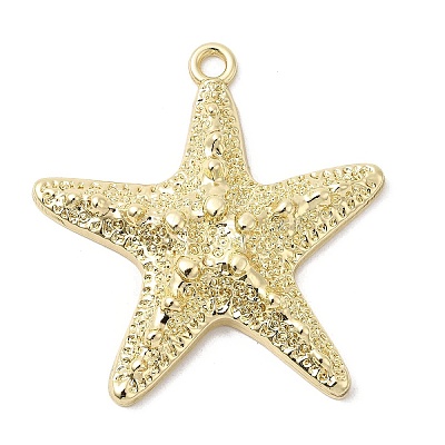 Alloy Big Pendants FIND-H055-13G-1