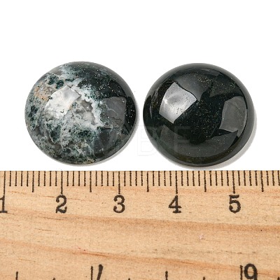 Natural Moss Agate Cabochons G-C115-02A-46-1