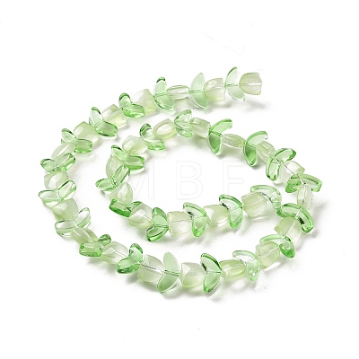Transparent Glass Beads Strands LAMP-H061-02E-1