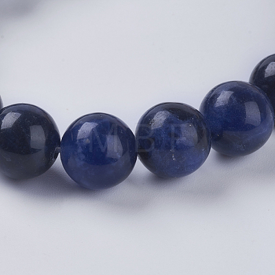 Natural Sodalite Beads Strands G-G515-10mm-07-1