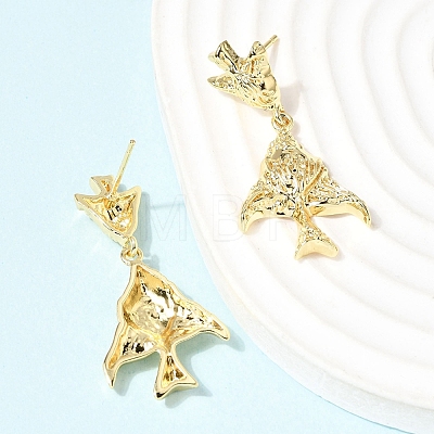 Brass Dangle Earrings EJEW-D352-06G-02-1