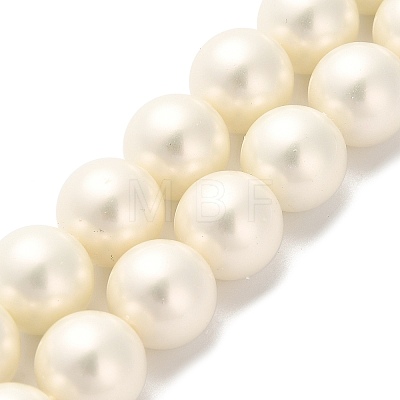 Shell Pearl Beads Strands BSHE-XCP0001-33-1