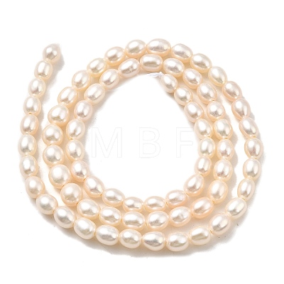 Natural Cultured Freshwater Pearl Beads Strands PEAR-I007-01Q-01D-1