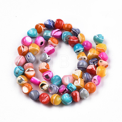 Natural Trochid Shell/Trochus Shell Beads Strands SSHEL-N032-56-1