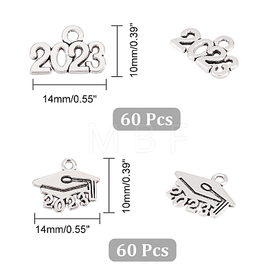 120Pcs 2 Style Tibetan Style Alloy Charms FIND-CA0006-06-1